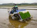 Rice planting machine.jpg