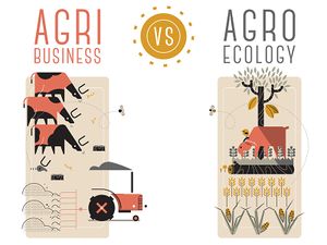 Agribusiness vs agroecology