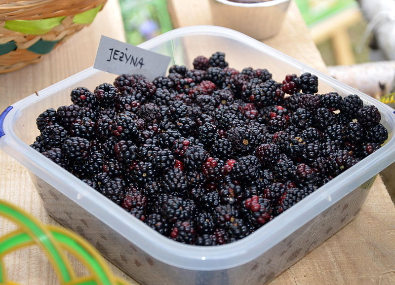 Blackberry fruits at market Nutrition, Health & Wellness