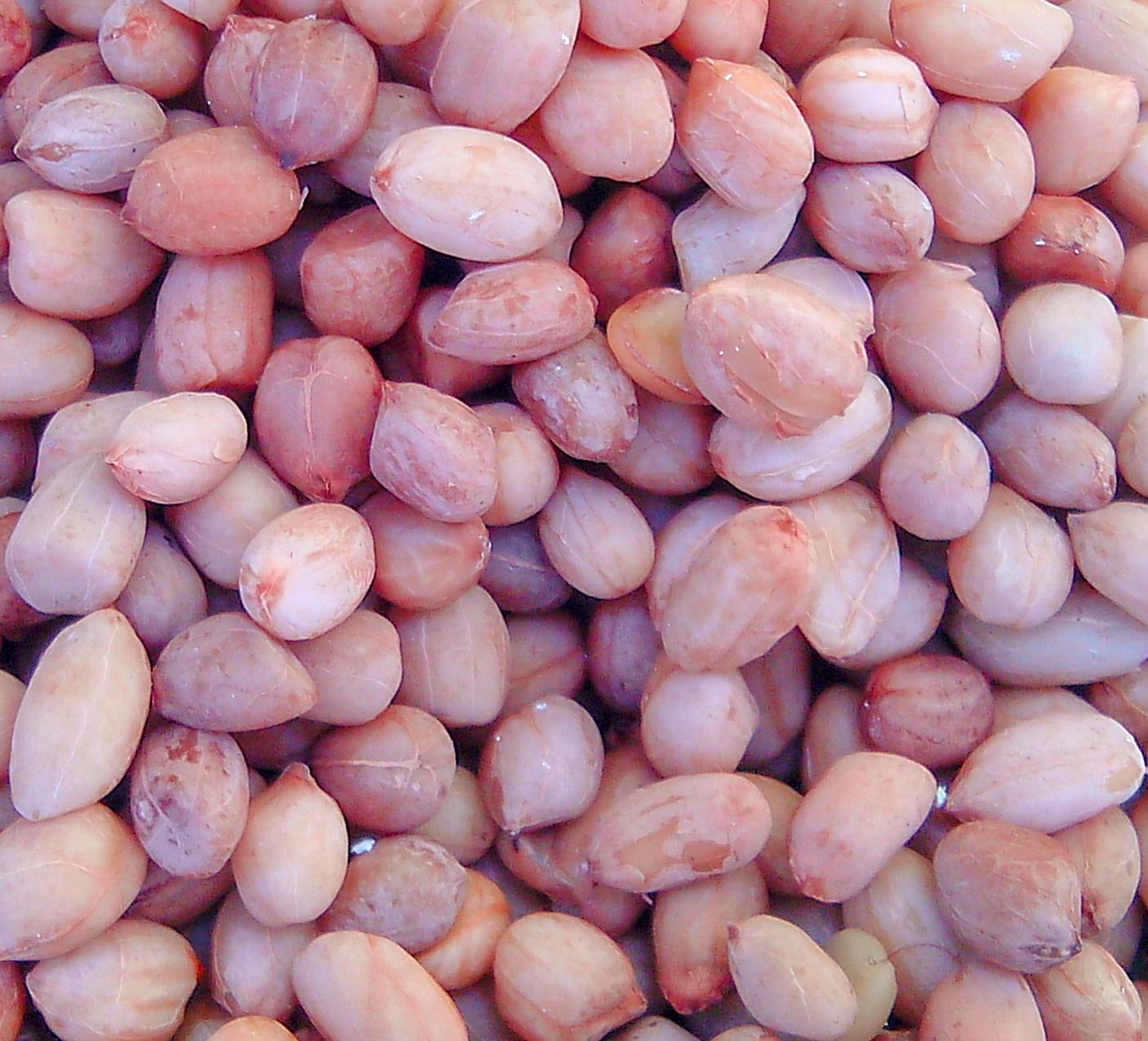 Boiled peanuts snack can cause allergy Nutrition, Health & Wellness