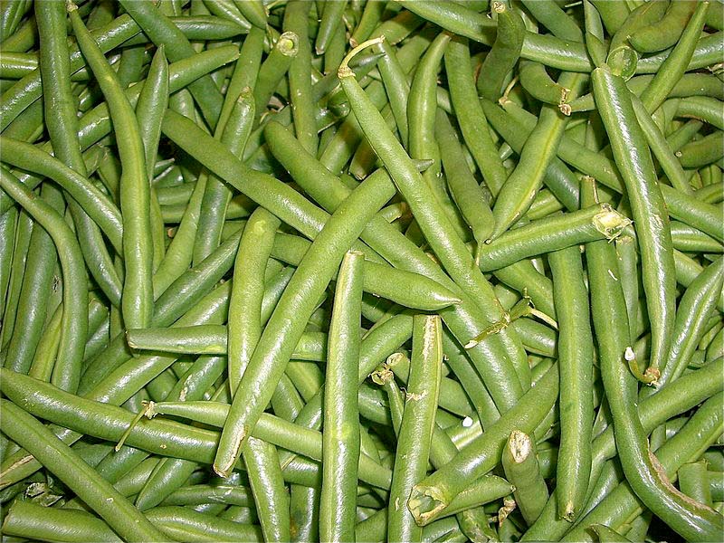 Green beans help in control of diabetes Nutrition, Health & Wellness