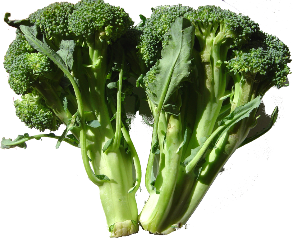 Broccoli for diabetes control Nutrition, Health & Wellness