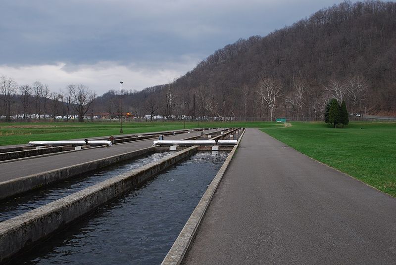 File:Bowden fish hatchery raceway.jpg