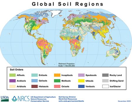 Soil Science Wiki Farming 450px Global Soil Regions 