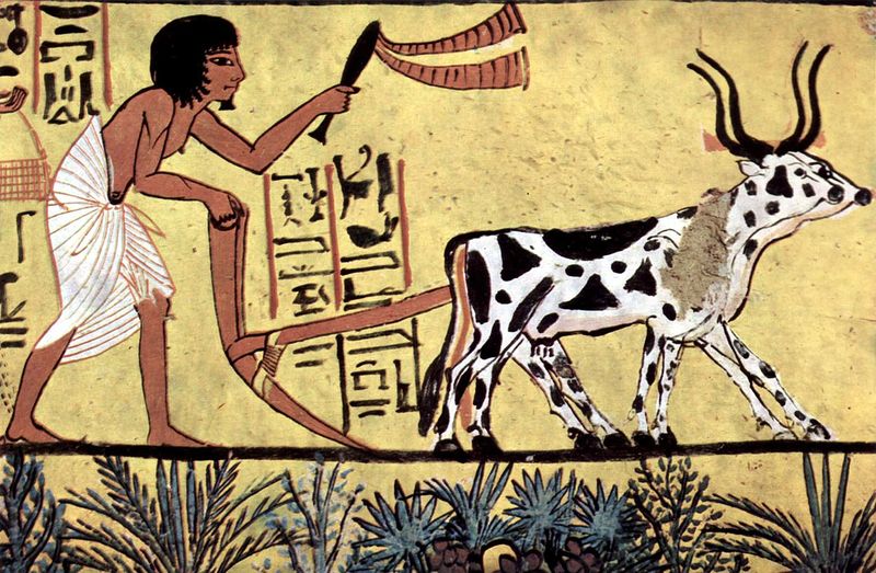 File:Painting in tomb of Sennudem.jpg