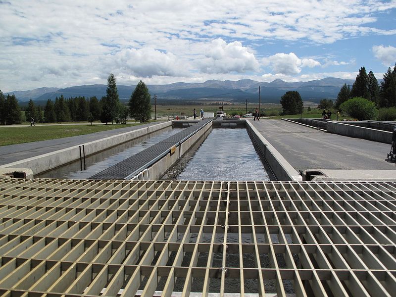 File:Leadville National Fish Hatchery.jpg