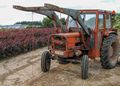Old European farm tractor.jpg