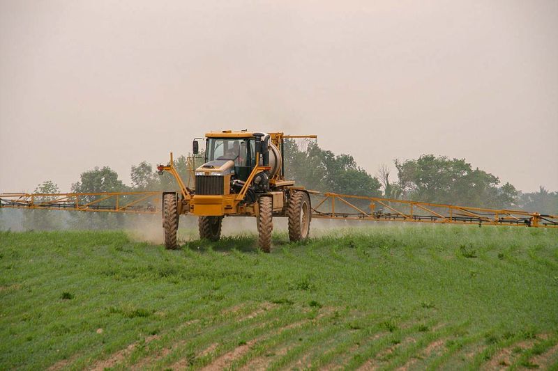 File:Rogator spraying corn.jpg