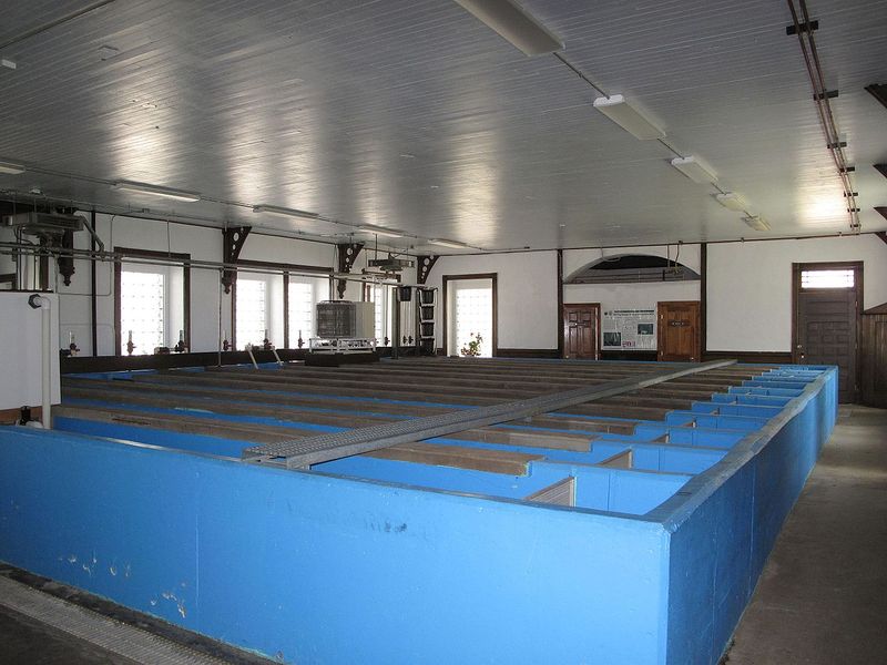 File:Fish hatchery cement raceways.jpg
