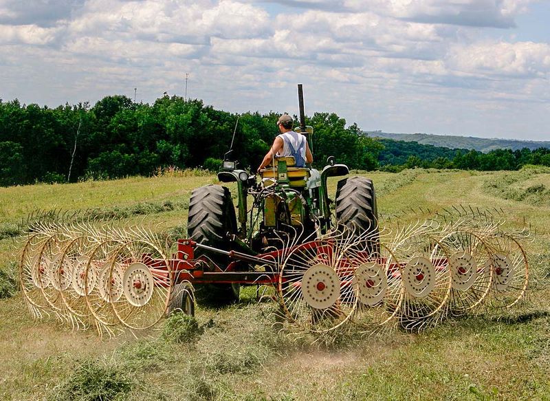 File:Star-wheel hay rake.jpg